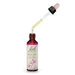 Bach Willow Flower Remedy, 20mL Dropper