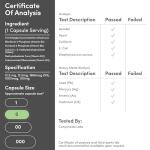 Methylated Multivitamin (Methylated and Activated Vitamins Only - Methylated B Complex with Trimethylglycine (TMG) and Methylfolate)(Non-GMO, Gluten Free MTHFR Supplement) 120 Capsules by Double Wood