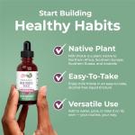 MaryRuth Organics Milk Thistle Seed Liquid Extract, 1 FZ