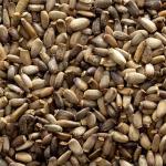 Frontier Whole Milk Thistle Seeds