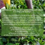 Hammam Green Tea with Rose & Red Berries