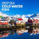 Bluebonnet Vitamin A 10,000 IU for Eye Health