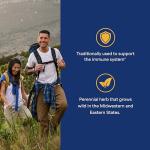 Echinacea 400mg Immune Support, 200 Capsules 2-Pack