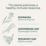 Organic Echinacea Plus Tea for Immune Support