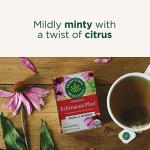 Organic Echinacea Plus Tea for Immune Support