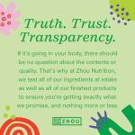 Zhou Milk Thistle - Liver Support Capsules, 60 Count