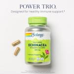 Echinacea Vitamin C & Zinc Immune Support VegCaps