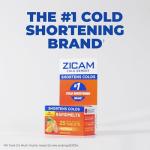 Zicam Ultra Cold Remedy Zinc Rapidmelts, 18 Count