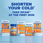 Zicam Ultra Cold Remedy Zinc Rapidmelts, 18 Count