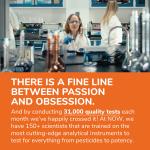 NOW Odorless Garlic Concentrated Extract Capsules (250)