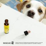 Bach RESCUE REMEDY PET Stress Relief Dropper 10mL