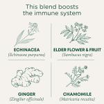 Organic Echinacea Elderberry Tea for Immune Support