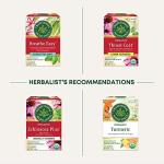 Organic Echinacea Elderberry Tea for Immune Support