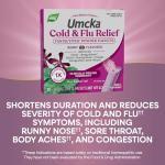 Nature's Way Cold & Flu Relief FastActives, Berry