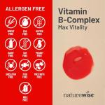 NatureWise B Complex Vitamins with Folic Acid & Biotin
