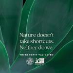 New Chapter Immune Support Vitamin C Gummies, 60ct