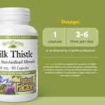 Milk Thistle Extract 250 mg, 90 Capsules