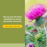 Milk Thistle Extract 250 mg, 90 Capsules