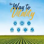 Vitalitown High Potency Vitamin D3 5000 IU Softgels