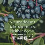 New Chapter Vitamin C & Elderberry Immune Support 30 ct