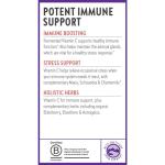 New Chapter Vitamin C & Elderberry Immune Support 30 ct