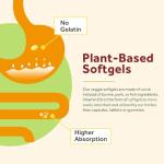 Doctor's Recipes Vitamin D3 5000IU, 120 Veggie Softgels