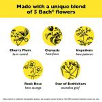 Bach RESCUE PASTILLES Black Currant Stress Relief