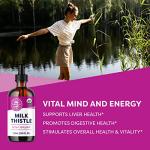 Vimergy Milk Thistle – Liver Support & Digestion