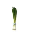 Fresh Scallions - One Bunch of Green Onions
