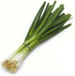 Fresh Scallions - One Bunch of Green Onions