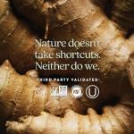 New Chapter Every Man's One Daily Multivitamin 72 ct