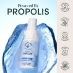 Beekeeper's Naturals Propolis Throat Soother 1 oz