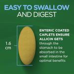 Garlique Blood Pressure Support 60 Caplets