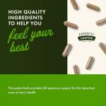 Swanson Saw Palmetto - Herbal Supplement Promoting Male Prostate Health Support - Natural Hair Supplement & Urinary Health Support (540 mg 250 Capsules) (2 Pack)