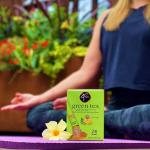 Green Tea Powder Drink Mix Packets, 24 Count