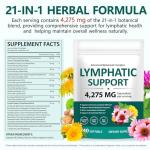 Lymphatic Drainage Herbal Cleanse with Echinacea, 240 Softgels
