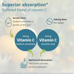 Gentle Buffered Vitamin C Chewables for All Ages