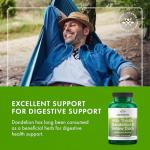 Swanson Herbal Liver Support with Milk Thistle & Dandelion