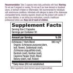 Natures Way Echinacea Goldenseal, 100 Capsules
