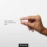 THORNE - Ferrasorb - 36 mg Iron with Essential Nutrients - Complete Blood Support Formula* - Elemental Iron, Folate, B and C Vitamins for Optimal Absorption - Gluten-Free - 60 Capsules