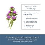 Eclectic Herb - Premium Freeze Dried Milk Thistle Capsules | Silymarin Supplement | Liver Support, Detox, Cleanse + Maintain | Vegan, Natural, Non-GMO, Gluten Free (240 CT | 600 mg)