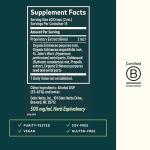 Gaia Herbs Echinacea Goldenseal Supreme - Goldenseal Root Herbal Nutrient Complex for Immune Support - Convenient Liquid Extract - Soy, Dairy & Gluten Free - 1 oz