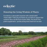 Eclectic Herb - Premium Freeze Dried Milk Thistle Capsules | Silymarin Supplement | Liver Support, Detox, Cleanse + Maintain | Vegan, Natural, Non-GMO, Gluten Free (240 CT | 600 mg)