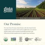 Gaia Herbs Echinacea Goldenseal Supreme - Goldenseal Root Herbal Nutrient Complex for Immune Support - Convenient Liquid Extract - Soy, Dairy & Gluten Free - 1 oz