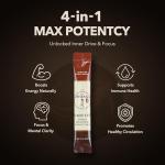 GINSENGin DailyUp Korean Red Ginseng Extract Stick 1000mg - Boost Energy | Enhance Memory | Support Immune System | Vegan | Liquid Supplements (10 Sticks)