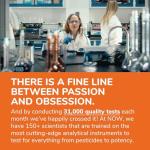 NOW Foods Supplements, Silymarin Milk Thistle Extract 300 mg with Artichoke and Dandelion, Double Strength, Supports Liver Function*, 250 Veg Capsules (1)