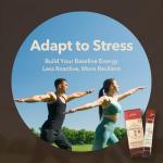 GINSENGin DailyUp Korean Red Ginseng Extract Stick 1000mg - Boost Energy | Enhance Memory | Support Immune System | Vegan | Liquid Supplements (10 Sticks)