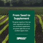 Standard Process Echinacea-C - Supplement for Immune System Support - Offers Daily Vitamin C Dose - Gluten-Free, Non-Dairy & Non-Soy - 90 Tablets (90 Servings)