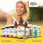 Wild & Organic Echinacea Goldenseal Tincture - Immune Support Drops with Echinacea and Goldenseal Root Extract - Vegan, Sugar & Alcohol-Free Liquid Supplement - 4 fl oz