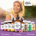 Wild & Organic Echinacea Drops - Immune Support Supplement with Echinacea Angustifolia - Liquid Root Extract Tincture - Vegan, Sugar & Alcohol-Free - 4 fl oz